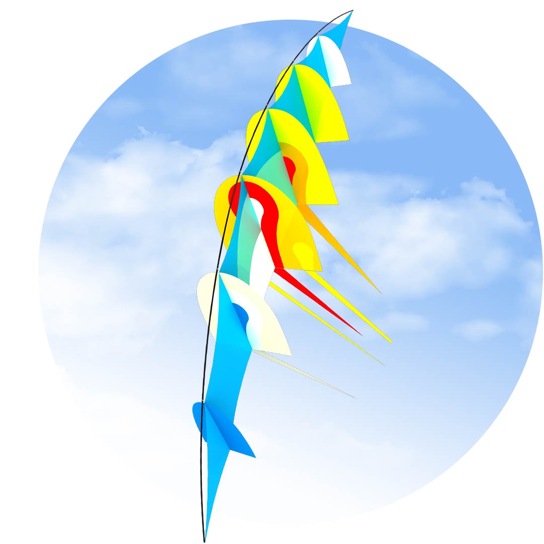 Hoffmanns Bow Kite Sea Breeze