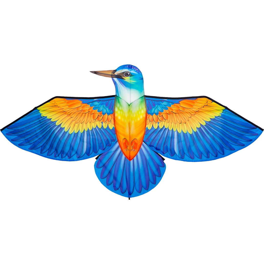 Bird Kite Kingfisher