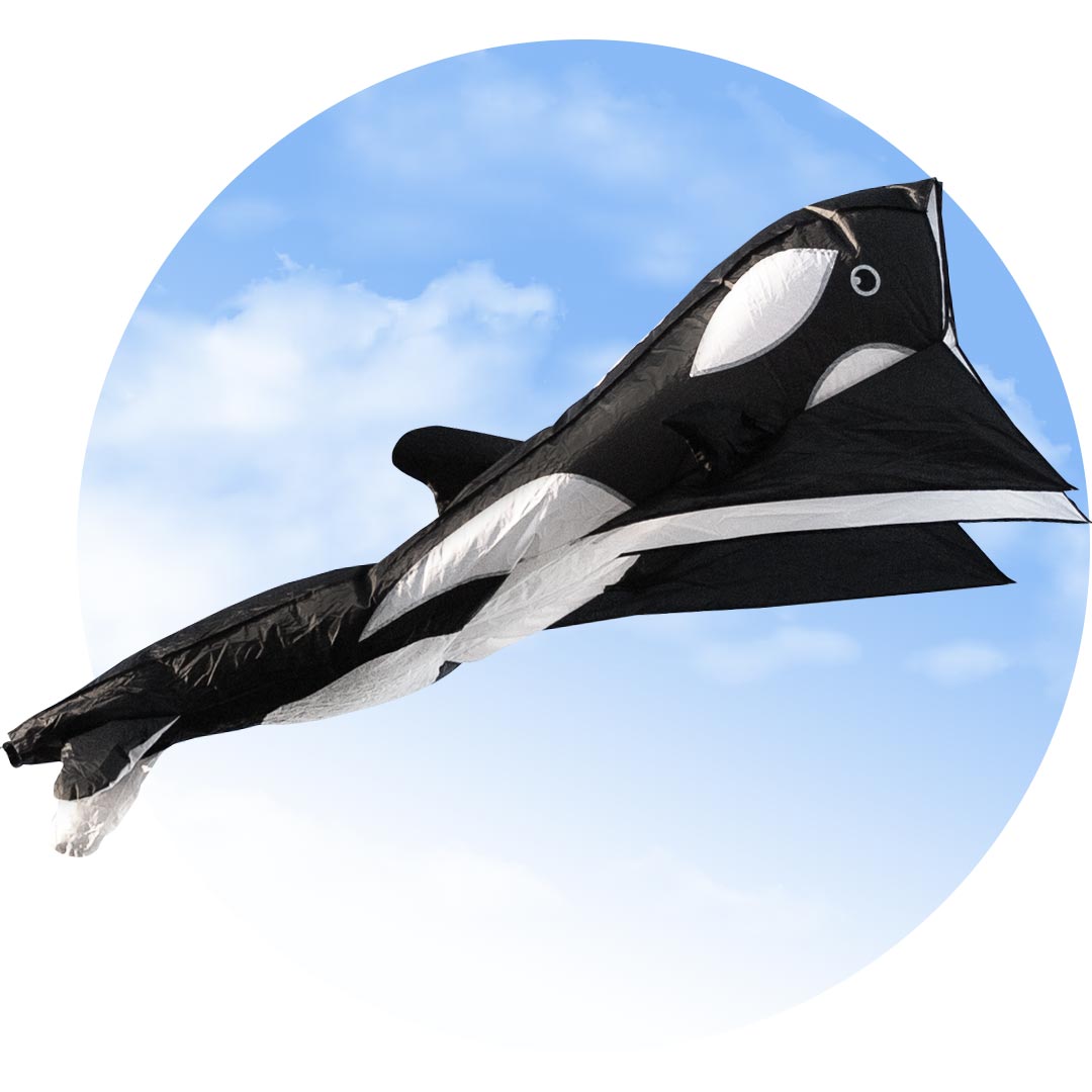 Parafoil Kite Orca