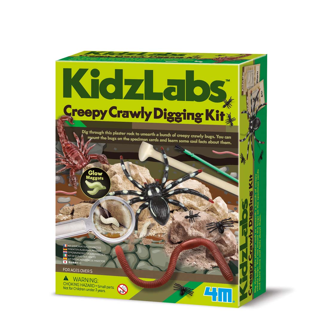 KidzLabs: Krabbeltier-Ausgrabung