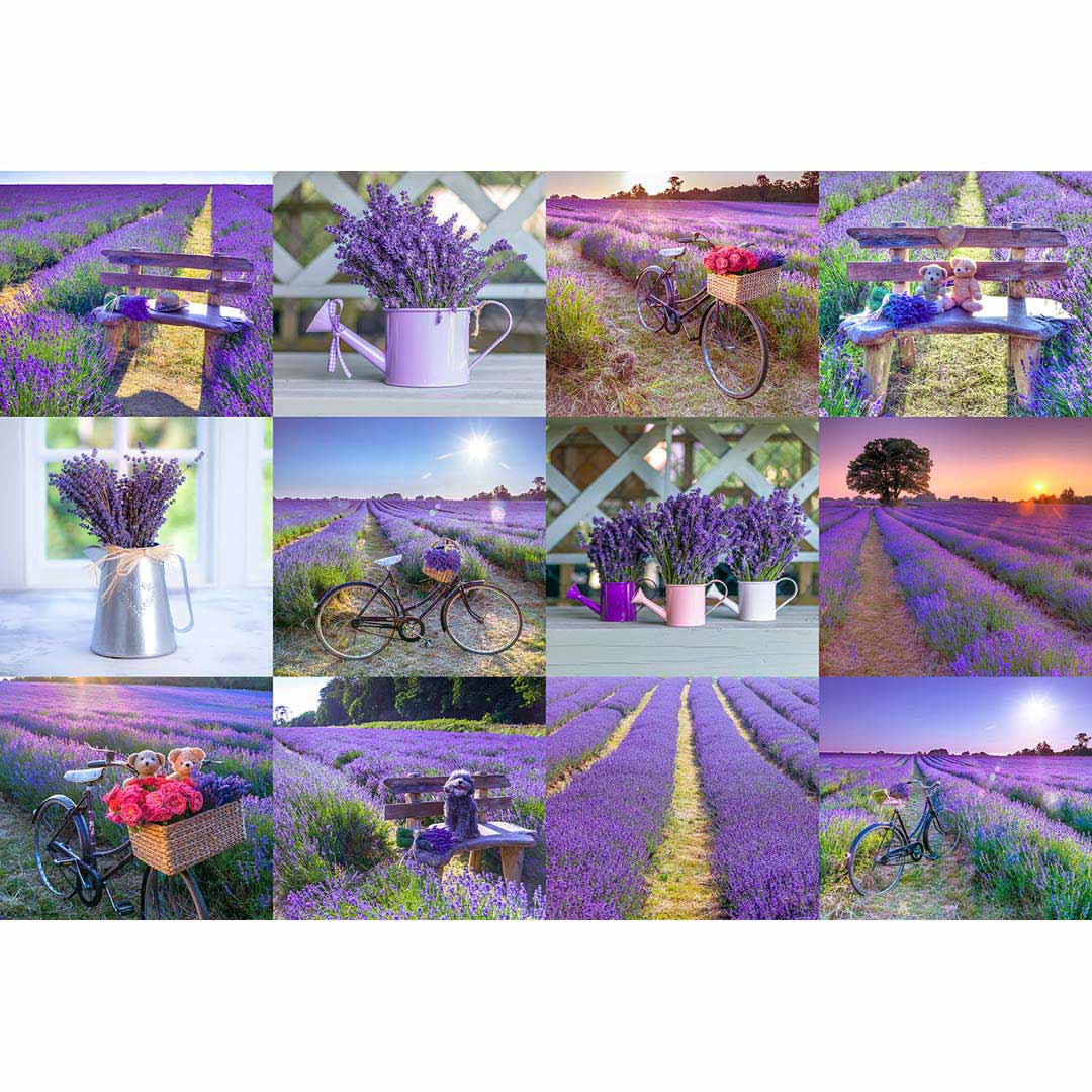 Wooden City: Wooden Puzzle Lavender France M