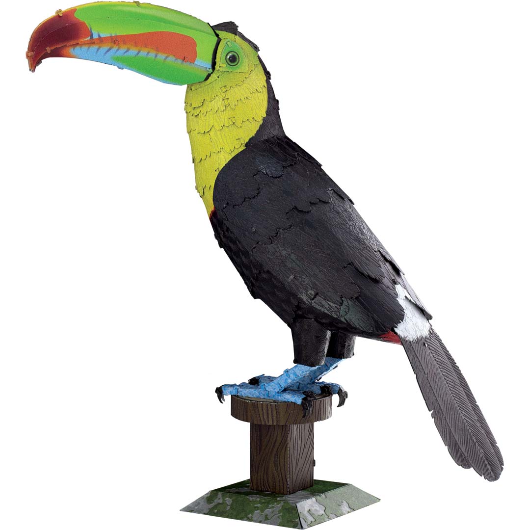 Metal Earth: Keel-billed Toucan (Regenbogentukan) (farbiges Modell)